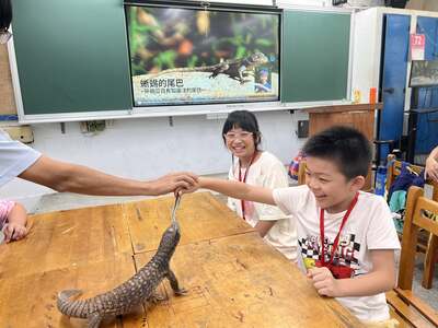 114學年暑假夏令營
